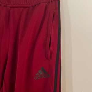 Adidas Climacool Maroon jogger pants